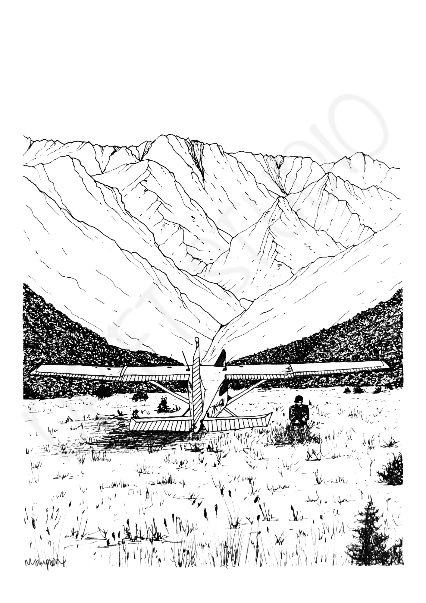 Makarora Plane – Siberia Valley